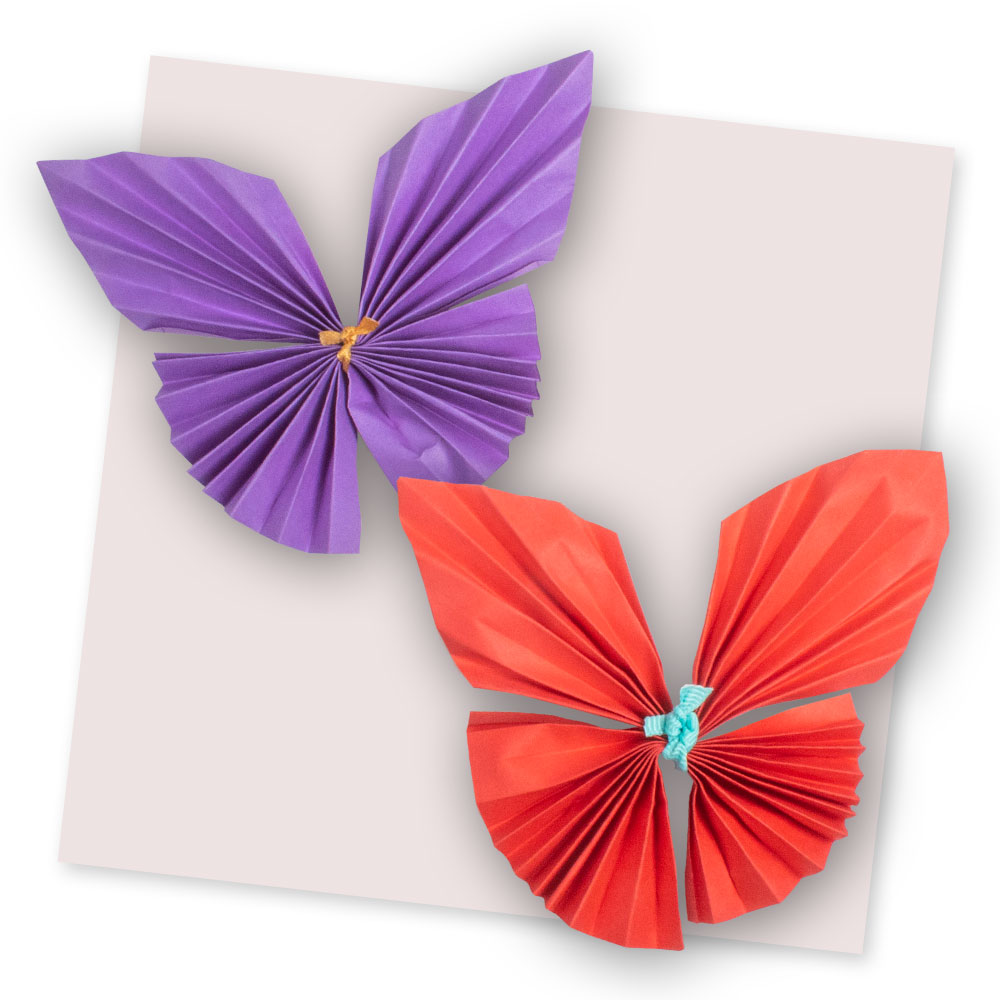 Fluttering butterfly abdo